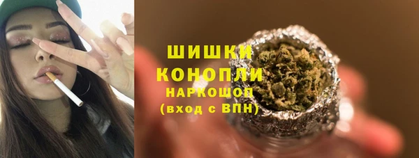 Альфа ПВП Белокуриха