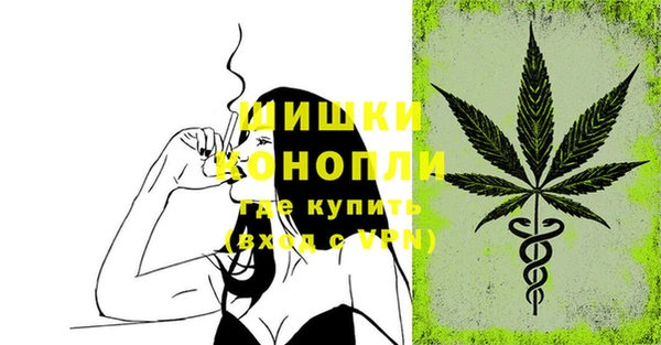 Альфа ПВП Белокуриха